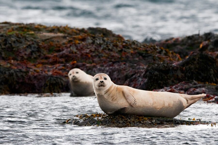 Reykjavik: 2-Day West Tour with Snæfellsnes & Silver Circle - What to pack: waterproof layers and boots you can trust