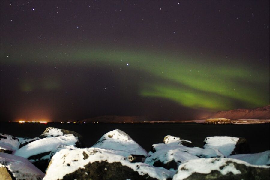 Reykjavik: 2-Hour Imagine Peace Tower Tour - The Island Walk: What You’ll See Along the Way