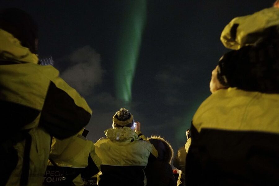 Reykjavik: 2-Hour Northern Lights by Boat with Backup Plan - When clouds block the aurora: the Whales of Iceland backup plan