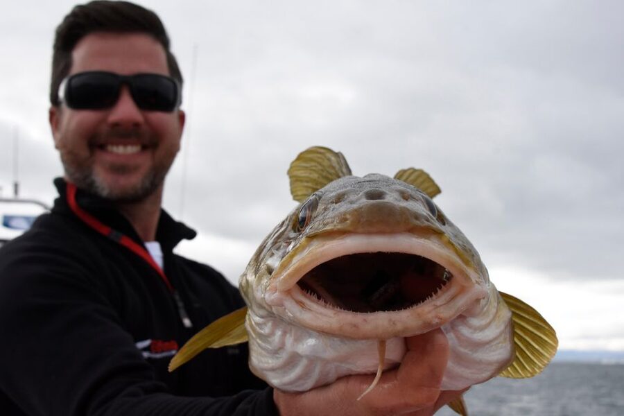 Reykjavik: 3-Hour Sea Angling Gourmet Experience Tour - Weather, Seasickness, and Clothing: Small Details That Matter