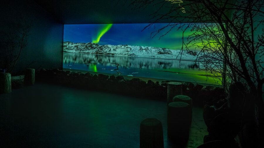 Reykjavik: Aurora Reykjavik The Northern Lights Center Entry - The cinema room: a 30-minute 4K Aurora film to reset expectations