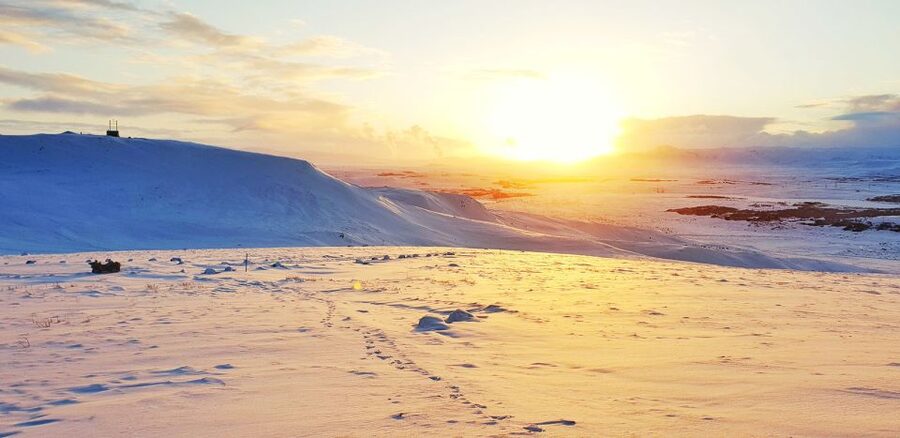 Reykjavik: Buggy Safari Tour with Hotel Transfers - Reykjavik Pickup to Hafravatn Basecamp: Getting There Without Stress