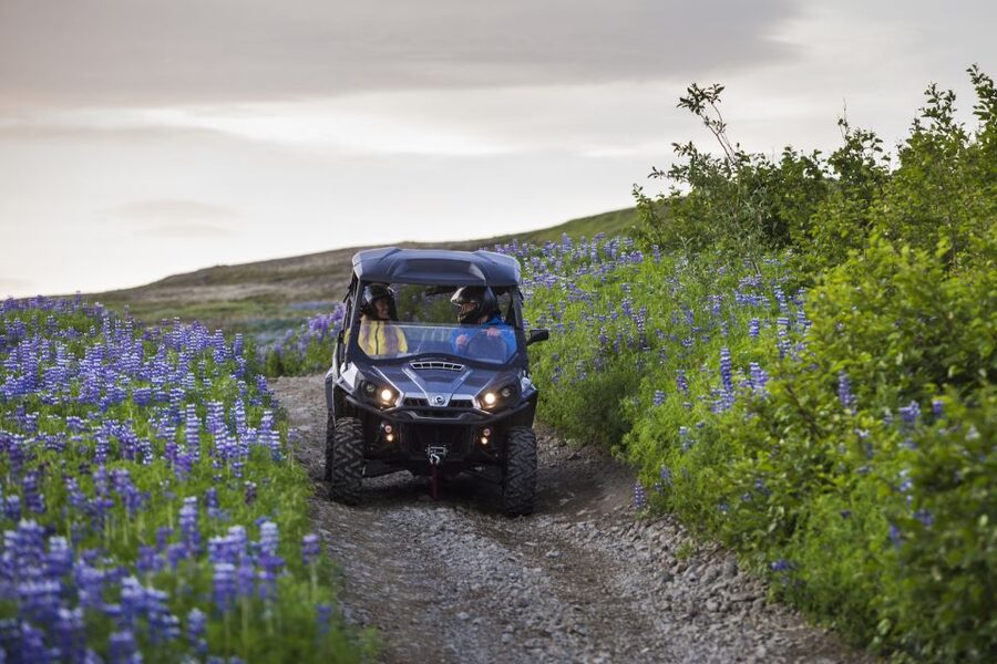 Reykjavik: Buggy Safari Tour with Hotel Transfers - Should You Book It?