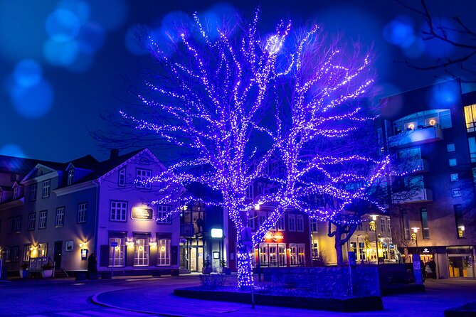 Reykjavik Christmas Walking Tour - Austurstræti and the central legends: where the walk turns into a story