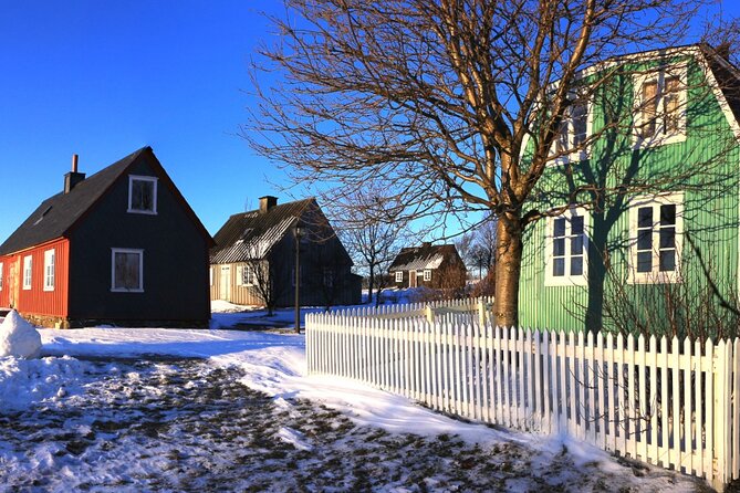 Reykjavik City Card 48 hours - Kópavogur day trip within the same pass: Gerðarsafn + natural history