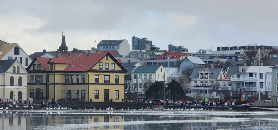 Reykjavik City Private Tour: Perlan, Arbaer & City Landmarks - Key things you’ll notice on this Reykjavik private tour