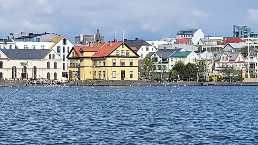 Reykjavik City Private Tour: Perlan, Arbaer & City Landmarks - Who this Reykjavik private tour suits best