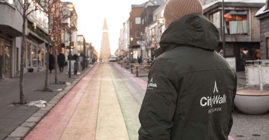 Reykjavik: City Walking tour in Small Group with Local Guide - Key Points You’ll Care About