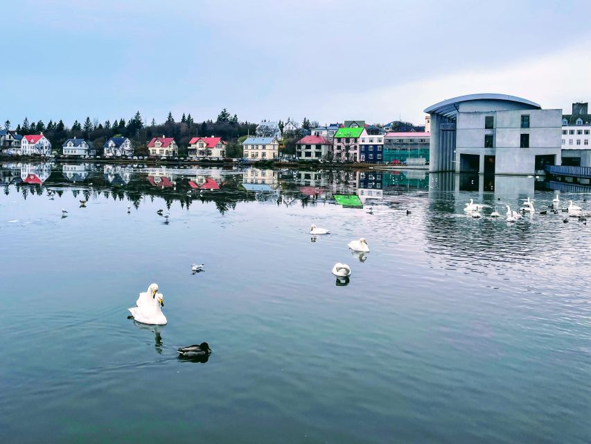 Reykjavik: City Walking tour in Small Group with Local Guide - Price and value: what $51 buys you in real terms