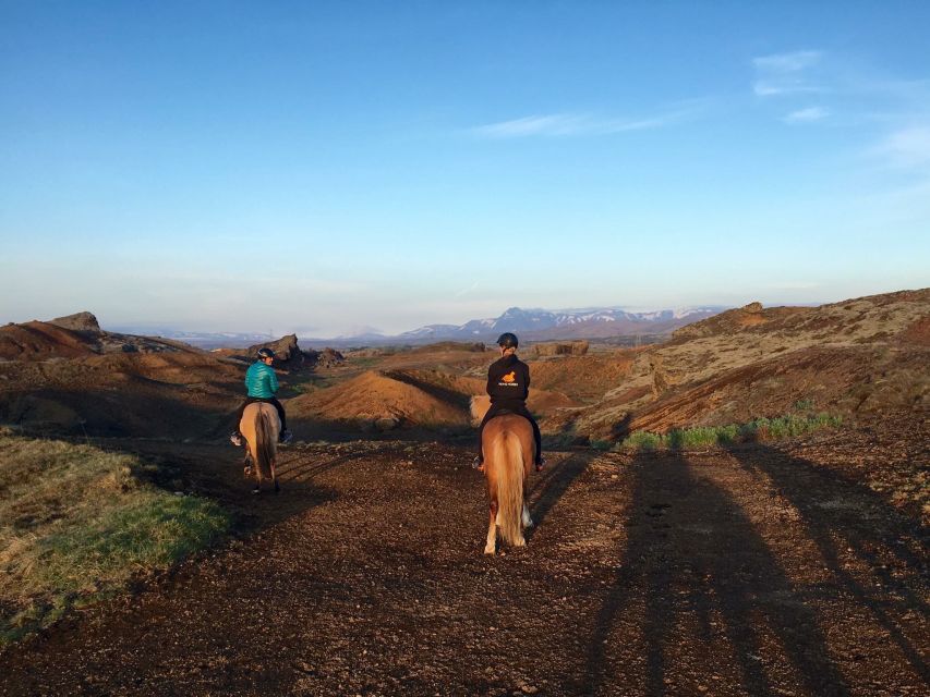 Reykjavik: Evening Sleipnir Horse Riding Tour with Pickup - Viking Horses at 6:30–6:45 PM: logistics that actually help