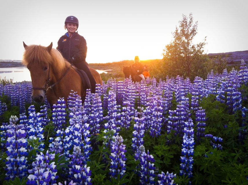 Reykjavik: Evening Sleipnir Horse Riding Tour with Pickup - Hólmsheiði forest and Stallion Valley: the ride part that feels personal