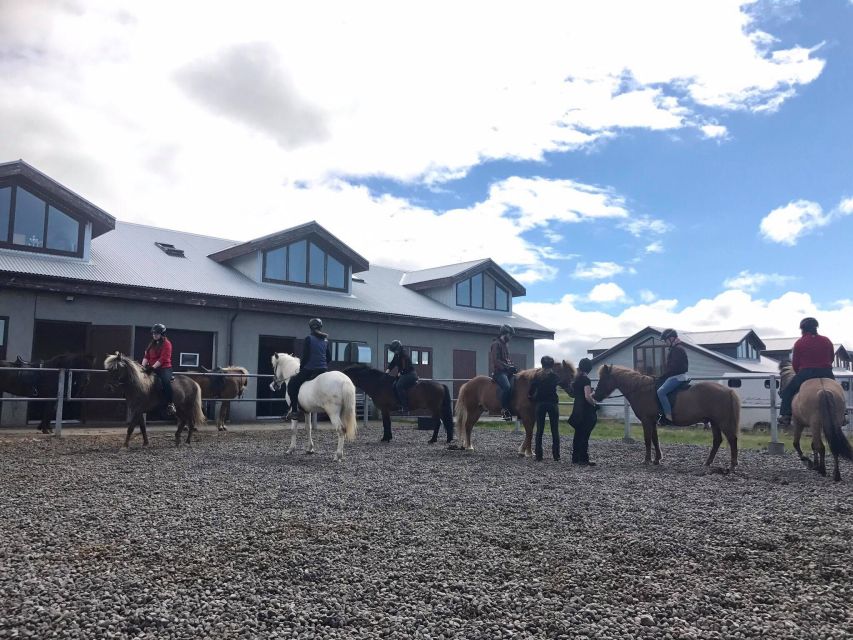 Reykjavik: Evening Sleipnir Horse Riding Tour with Pickup - Horses and instruction: what beginner riders need to feel confident