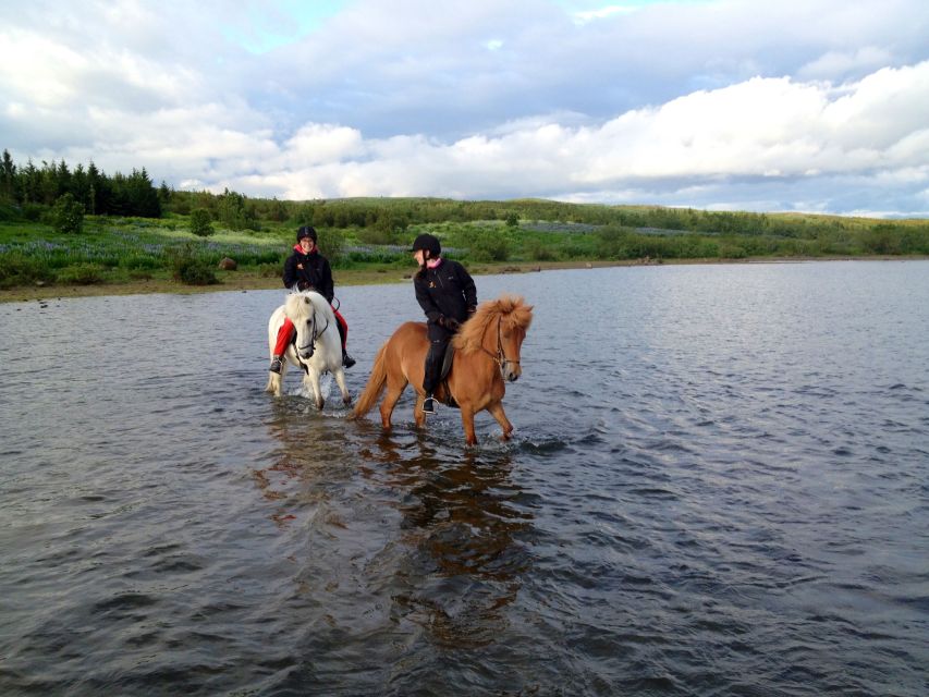 Reykjavik: Evening Sleipnir Horse Riding Tour with Pickup - Who should book this evening Sleipnir ride (and who should skip it)