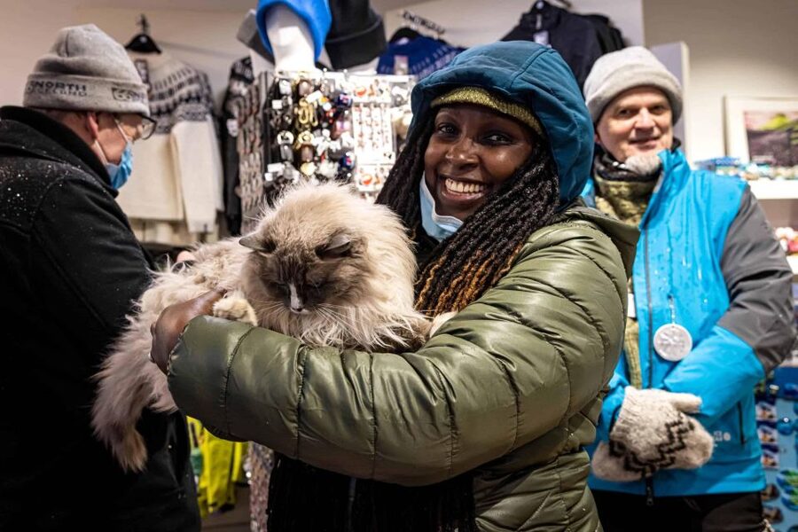 Reykjavik: Feline-Focused City Walking Tour - Key things I’d circle before you book