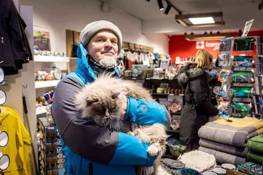 Reykjavik: Feline-Focused City Walking Tour - Lake Tjörnin makes a great pause point for folklore