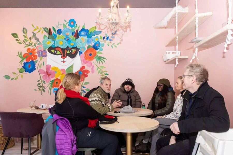 Reykjavik: Feline-Focused City Walking Tour - Hallgrimskirkja and the Einar Jónsson Museum: city icons, finished with statues