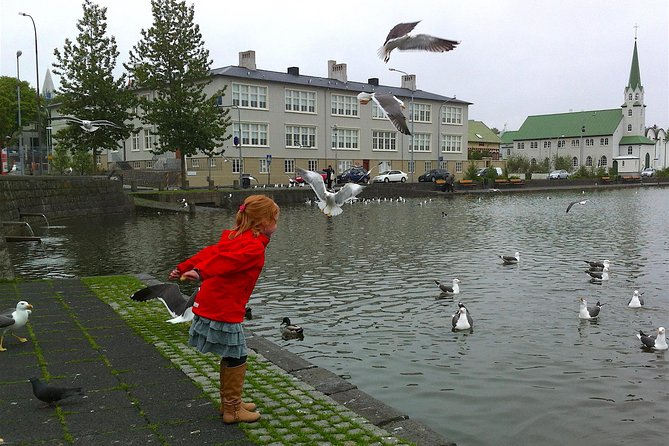 Reykjavik Food Tour and City Walk - PRIVATE TOUR - Ice cream and the sweet timing that works in 4 hours