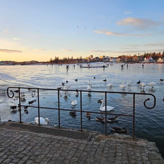 Reykjavik: Food Tour by locals - Why this 3-hour Reykjavik food walk actually feels local