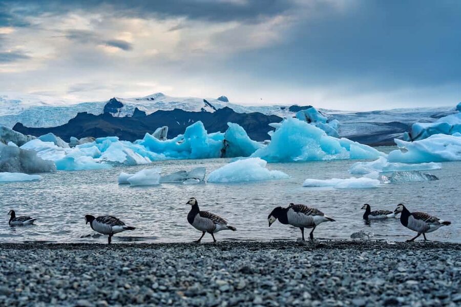 Reykjavik: Glacier Lagoon, Diamond & Black Beach 冰岛冰河湖中文一日团 - Reynisfjara Black Sand Beach: Basalt Drama and the Wind That Means Business
