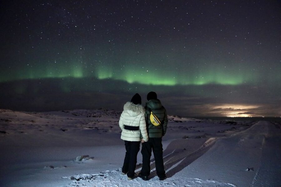 Reykjavík: Golden Circle, Blue Lagoon & Northern Lights Tour - Timing, Food, and That Long Stretch Between Day and Night