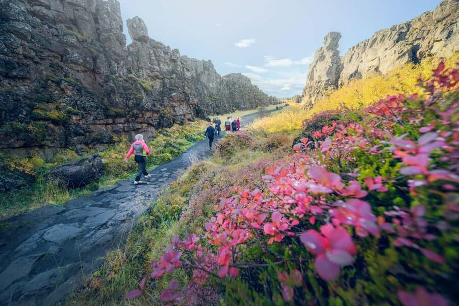 Reykjavik: Golden Circle Tour & Laugarás Lagoon Entry - Þingvellir National Park: Rift Valley Views Plus Guided Context
