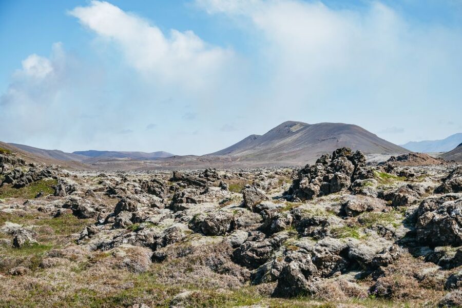 Reykjavik: Guided Tour to Volcano and Reykjanes Geopark - Grindavík After the Eruptions: Rifts, Barriers, and a Town That Adapted