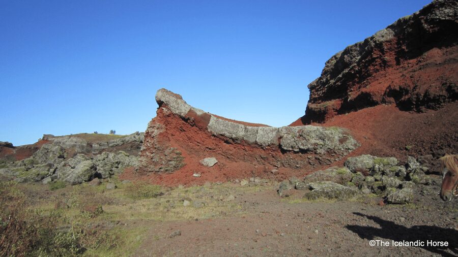 Reykjavík: Horse Riding Tours - Key highlights at a glance