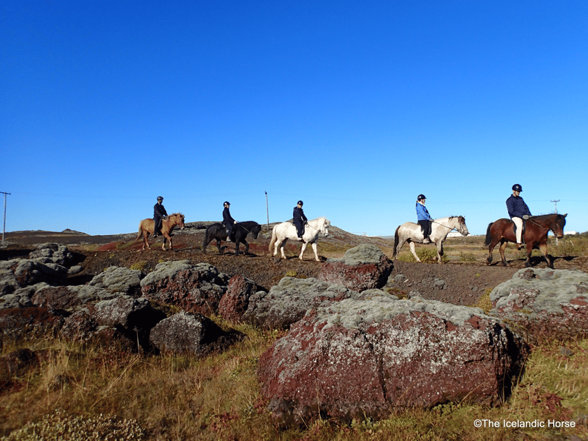 Reykjavík: Horse Riding Tours - Icelandic Horse Riding Near Reykjavik: What You’re Really Buying