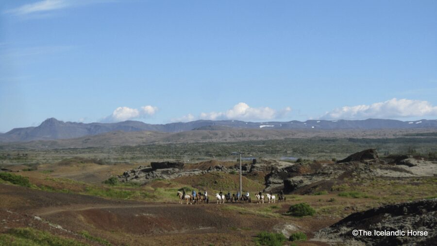 Reykjavík: Horse Riding Tours - Redhill and volcanic terrain: what you’ll see from the saddle