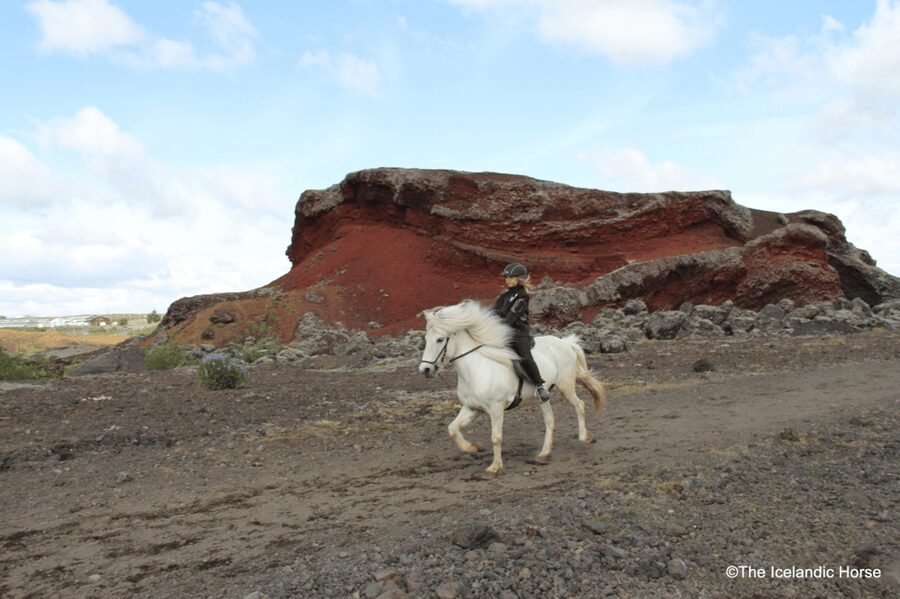 Reykjavík: Horse Riding Tours - Gear that matters in Iceland: staying warm without overpacking