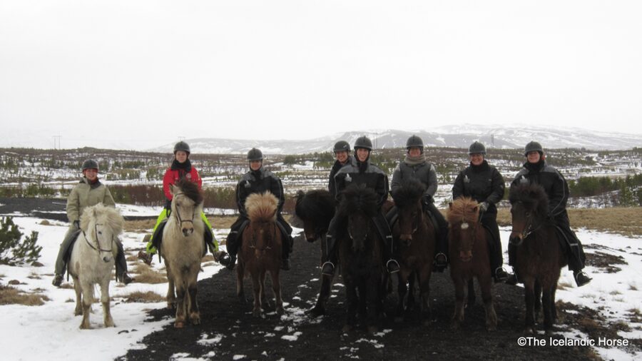 Reykjavík: Horse Riding Tours - Guides and personality: Begga and Sveinn’s hands-on approach