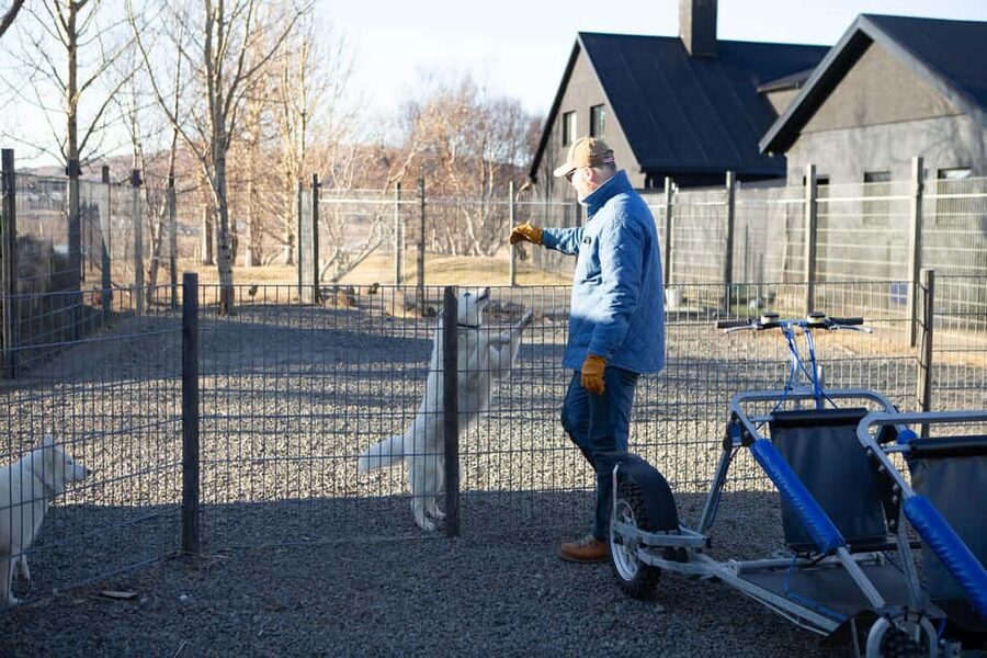 Reykjavík: Husky Kennel Visit with Hot Drinks - Should you book this husky kennel visit?