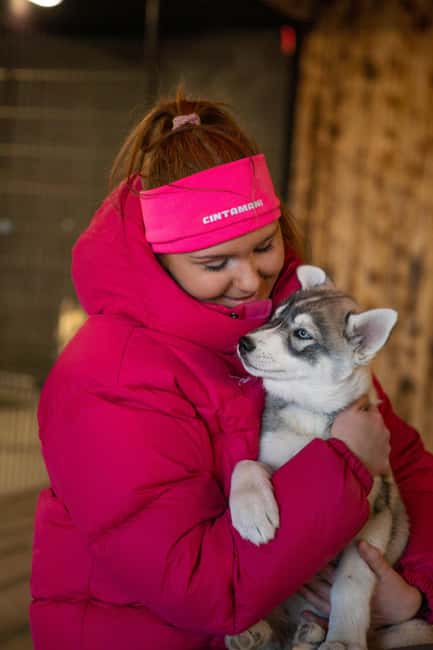 Reykjavík: Husky Kennel Visit with Hot Drinks - Husky Kennel Hour: why this short stop feels satisfying