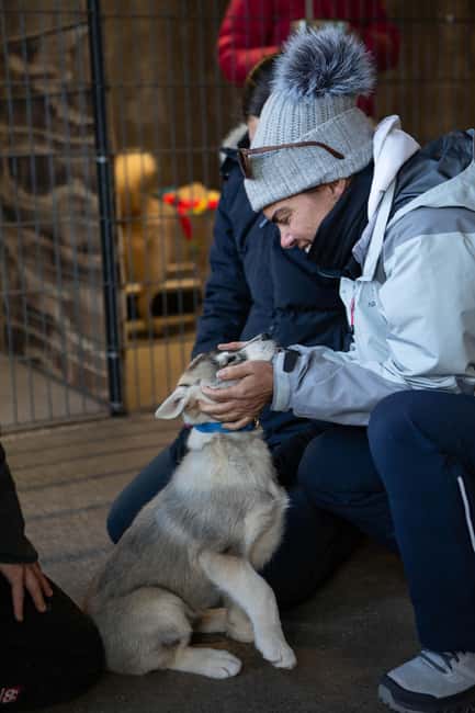 Reykjavík: Husky Kennel Visit with Hot Drinks - The open-fire break: hot chocolate, coffee, tea, and the Icelandic donut