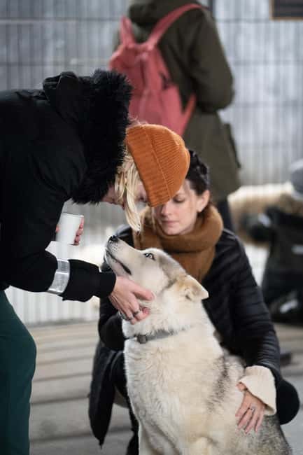 Reykjavík: Husky Kennel Visit with Hot Drinks - Entering the kennel: meeting Siberian Huskies and seeing how they live