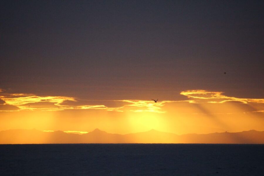 Reykjavík: Midnight Sun Whale Watching Cruise - Reykjavík’s Old Harbor at 9 PM: Why this timing is special