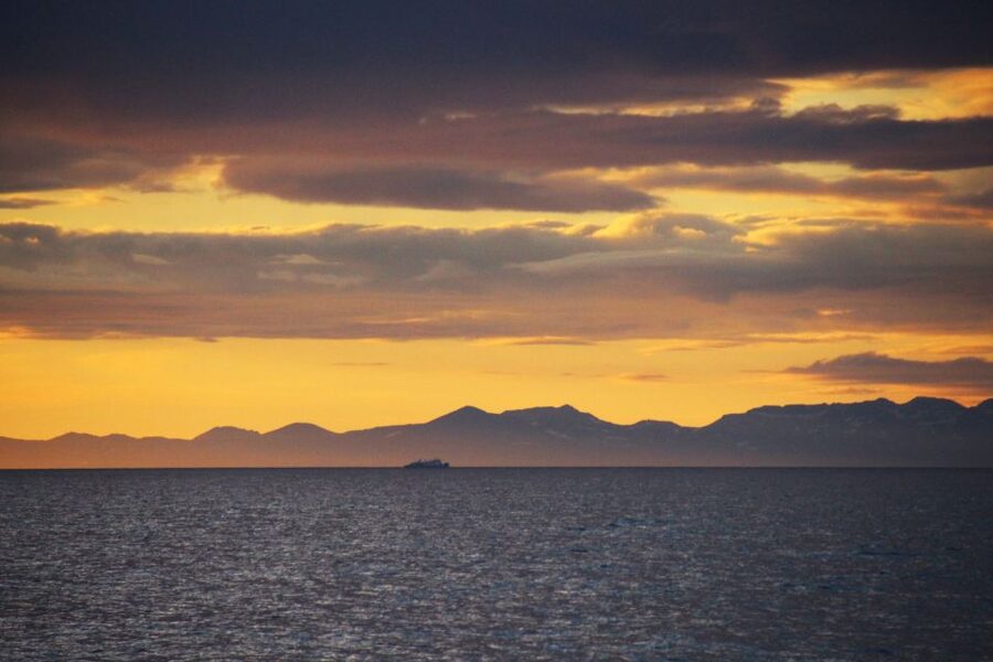 Reykjavík: Midnight Sun Whale Watching Cruise - Who should book this midnight sun whale cruise?