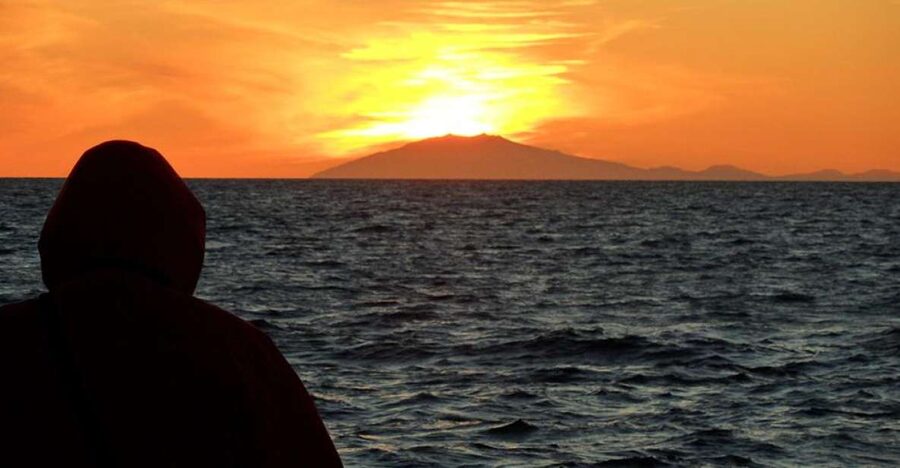 Reykjavik: Midnight Sun Whale Watching Tour - How the timing works: from Elding tickets to back in the harbor