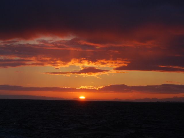 Reykjavik: Midnight Sun Whale Watching Tour - Onboard comfort: warm overalls, windproof help, and deck time