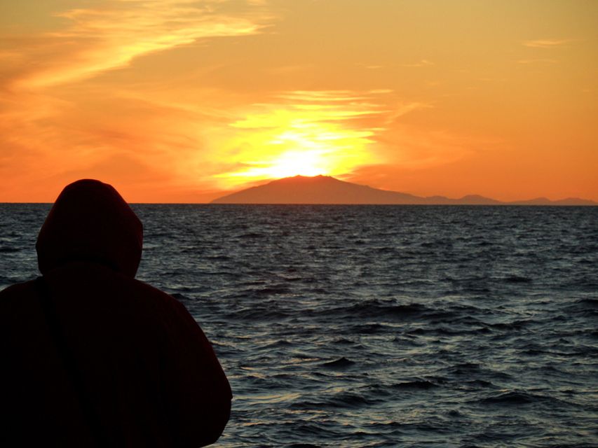 Reykjavik: Midnight Sun Whale Watching Tour - Price and value: how $111 stacks up for what’s included