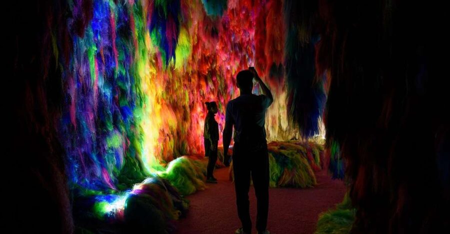 Reykjavík: Multi-Sensory Art Installation Chromo Sapiens - Key Points Before You Go