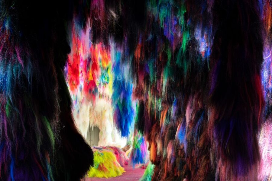 Reykjavík: Multi-Sensory Art Installation Chromo Sapiens - Who This Experience Suits Best