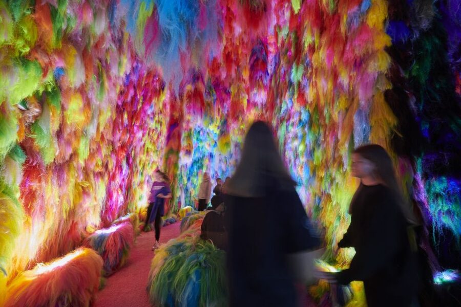 Reykjavík: Multi-Sensory Art Installation Chromo Sapiens - The Soundtrack With HAM: Why the Audio Matters Here