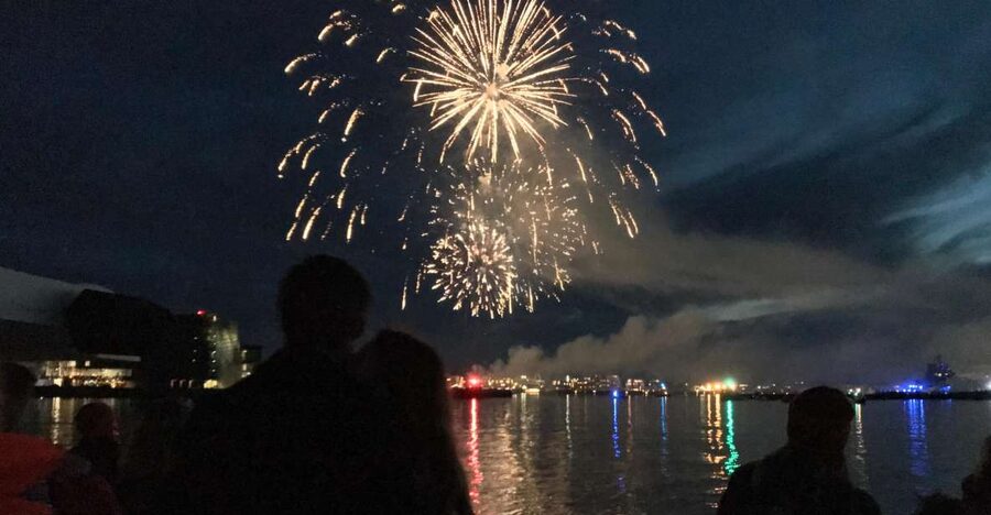 Reykjavik: New Year's Eve Fireworks Cruise - Key Things I’d Book For