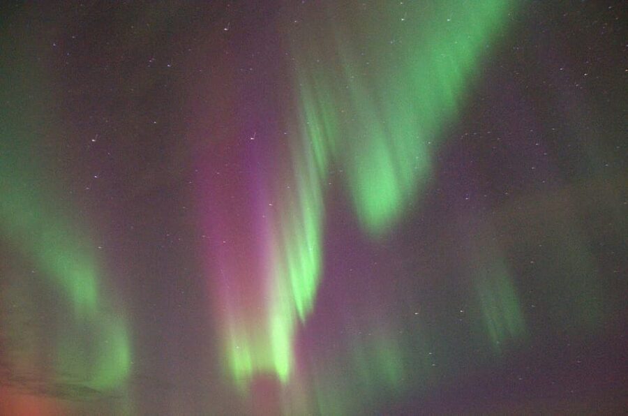 Reykjavík: New Year's Eve Northern Lights Yacht Cruise - Harpa Yachts experience: crew energy and small-group feel