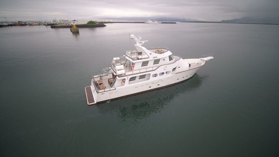 Reykjavik: New Years Fireworks Midnight Cruise - Price and Value at About $170 for a 2-Hour Midnight Cruise