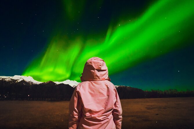 Reykjavik: Northern Lights Comfort Coach with Surprise - The aurora hunt: how forecast-driven stops keep you away from the crowds
