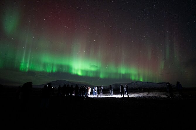 Reykjavik: Northern Lights Comfort Coach with Surprise - Stops, walking, and the feel of the night outside the bus