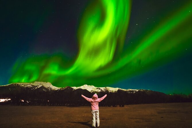 Reykjavik: Northern Lights Comfort Coach with Surprise - How to maximize your photos without getting lost in the tech