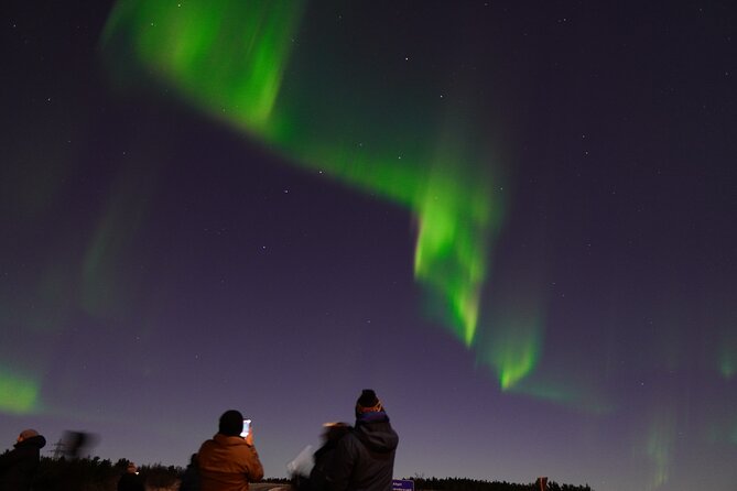 Reykjavik Northern Lights Tour with Pro Aurora Photos Small Group - Retries and how they affect your decision
